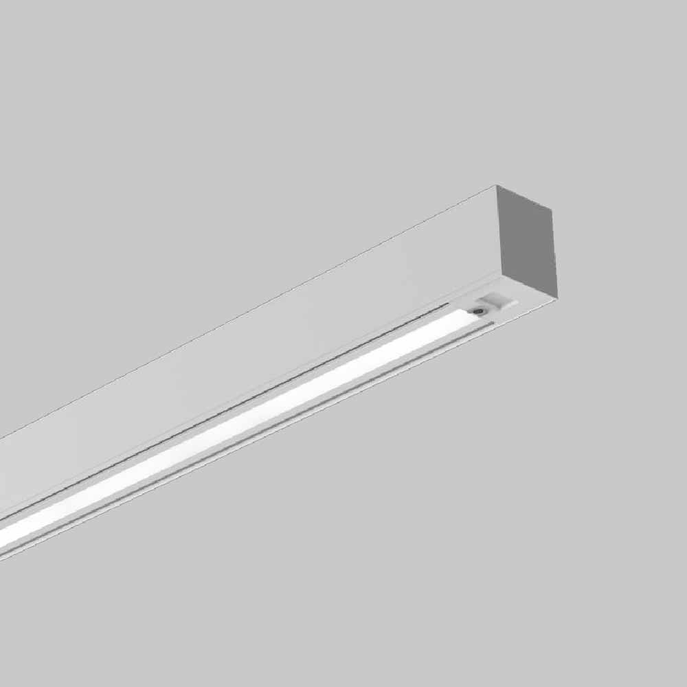 Linea
